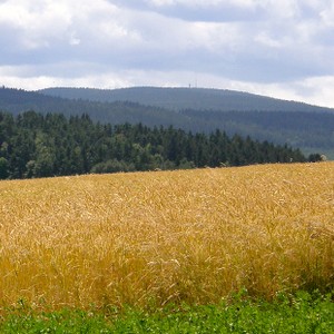 OD Soběšice